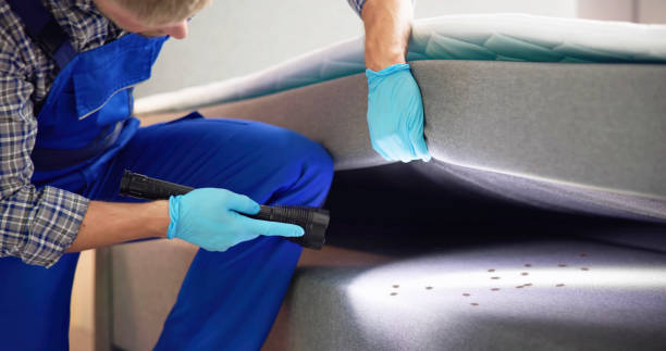 Best Affordable Pest Control Services  in Mount Hermon, VA