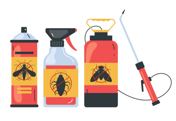 Best Termite Control Services  in Mount Hermon, VA